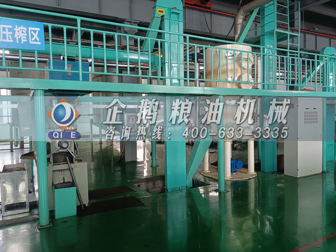 企鵝牌茶籽油雙螺桿榨油機，用心制造獲得客戶認可(圖3)