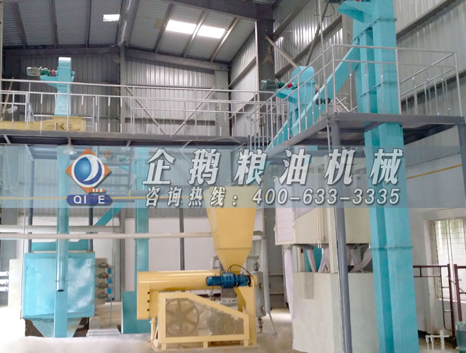 如何投資建設(shè)棕櫚油加工廠？企鵝糧油機(jī)械在線為您答疑解惑(圖4)