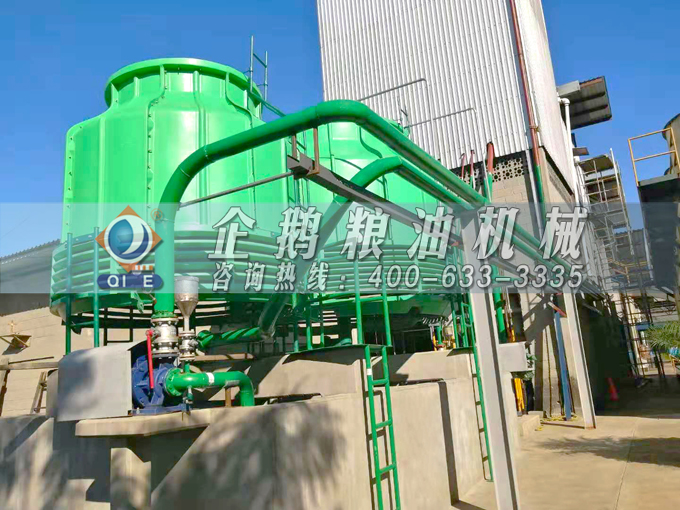 如何投資建設(shè)棕櫚油加工廠？企鵝糧油機(jī)械在線為您答疑解惑(圖3)